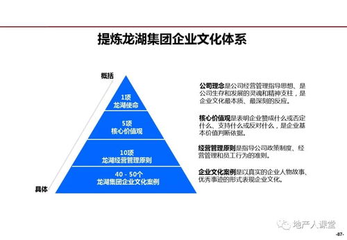 數字化驅動下的精細化管理 龍湖企業管理與運營中的計算機系統服務應用